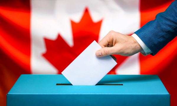 Name: 15.png Views: 0 Size: 399.1 KB